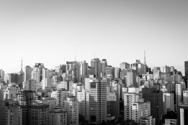 Sao Paulo Skyline clipart