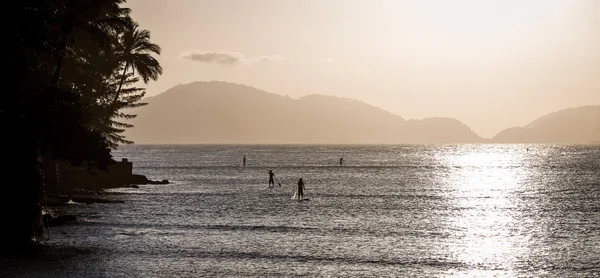 SUP, Stand Up Paddle — Stock Photo, Image