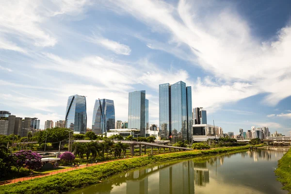 Marjinal Pinheiros, Sao Paulo, Brezilya — Stok fotoğraf