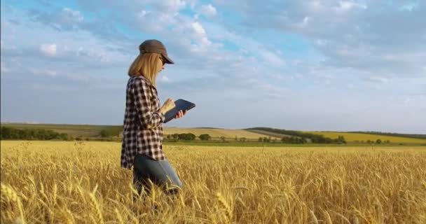 Agricultor agrônomo feminino com computador tablet portátil — Vídeo de Stock
