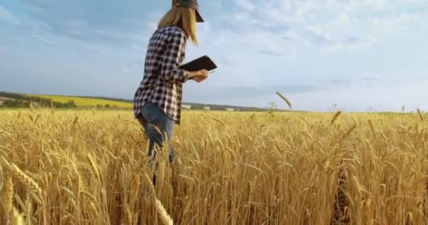 Női agronómus mezőgazdasági termelő hordozható tabletta számítógép — Stock videók