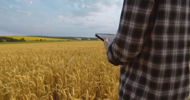 Női agronómus mezőgazdasági termelő hordozható tabletta számítógép — Stock videók