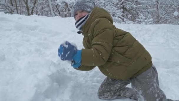 Pojke ha kul med snö i vinterpark på semester — Stockvideo