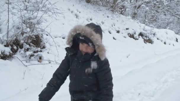 Los Niños Divierten Con Bolas Nieve Parque Invierno Con Amigos — Vídeo de stock