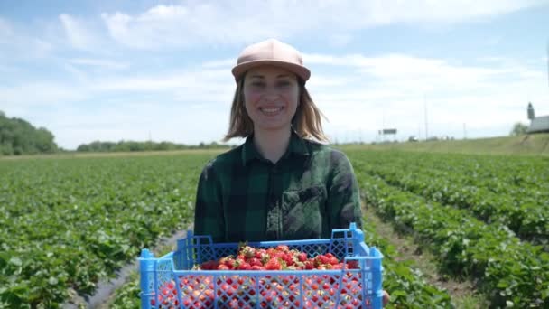 Chica granjera lleva una caja llena de fresas — Vídeos de Stock