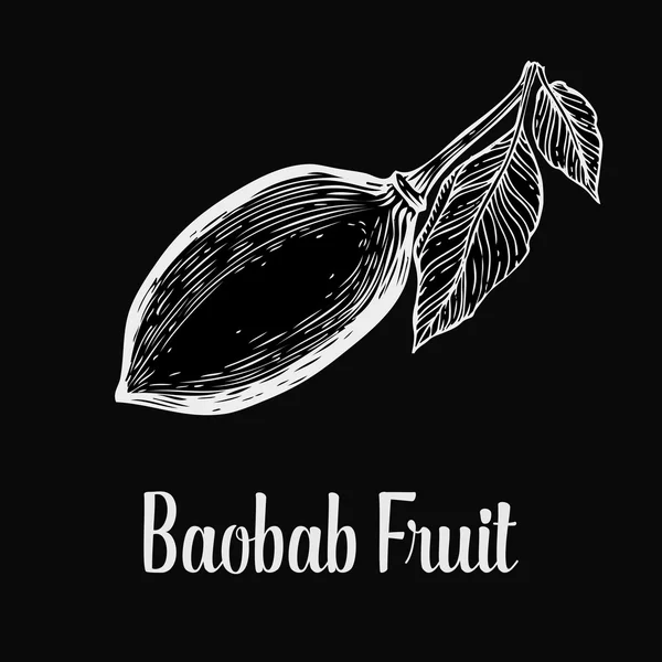 Baobab fa, gyümölcs, levél, anya gravírozás Vintage kézzel rajzolt vázlat vektor illusztráció. Fekete háttér-fehér. — Stock Vector