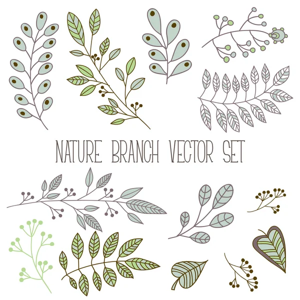 Branch, folha, conjunto da natureza do elemento da planta. Coleção de vetores, ilustração floral — Vetor de Stock