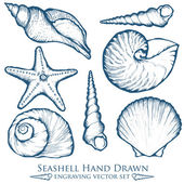 Muschel, Muschel, Seestern Natur Ozean aquatische Unterwasser-Vektor-Set. handgezeichnete Gravur-Illustration auf weißem Hintergrund