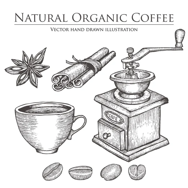 Kaffekvarn, bönor, utsäde, frukt, kanel, stjärnanis, kopp. Varm naturlig ekologisk koffein dryck set. Handritad vektor illustration på vit bakgrund. — Stock vektor