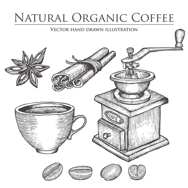 Molino de café, frijol, semilla, fruta, canela, anís estrellado, taza. Conjunto de bebidas de cafeína orgánica natural caliente. Ilustración vectorial dibujada a mano sobre fondo blanco . — Archivo Imágenes Vectoriales