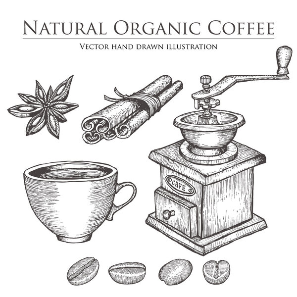 Coffee mill ,bean, seed, fruit, cinnamon, star anise, cup. Hot natural organic caffeine drink set. Hand drawn vector illustration on white background.