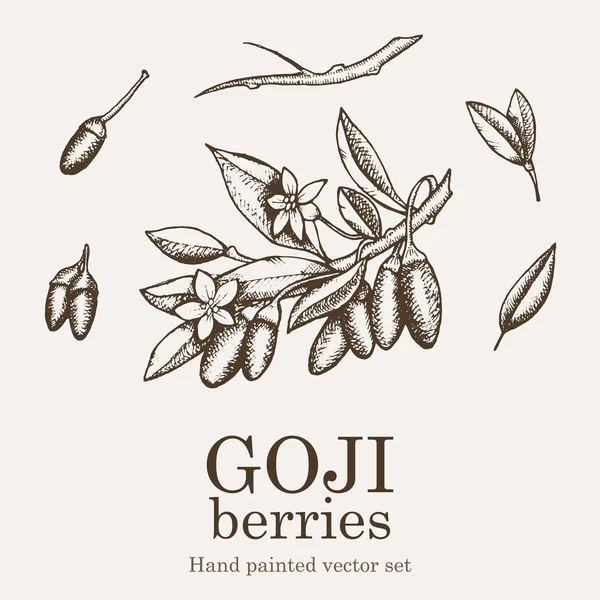 Set superfood di bacche di Goji. Salute nutrienti cibo vettore mano disegno illustrazione — Vettoriale Stock