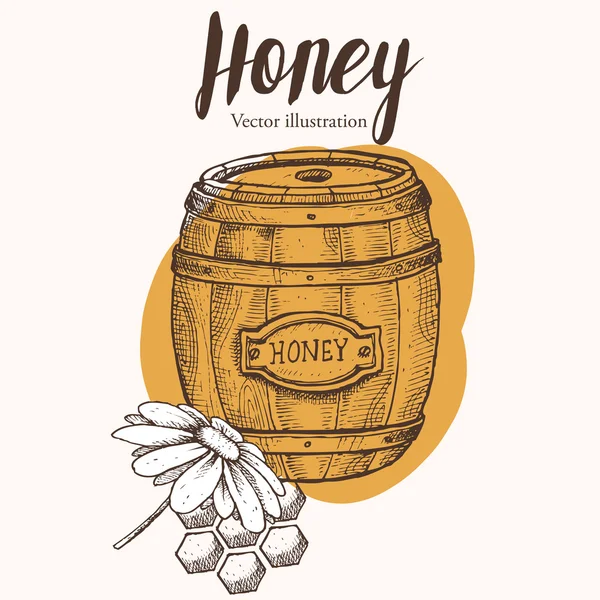 Honey jar, barrel, honeycomb, chamomile, vintage vector set. Engraved organic food hand drawn sketch illustration. — Stock Vector