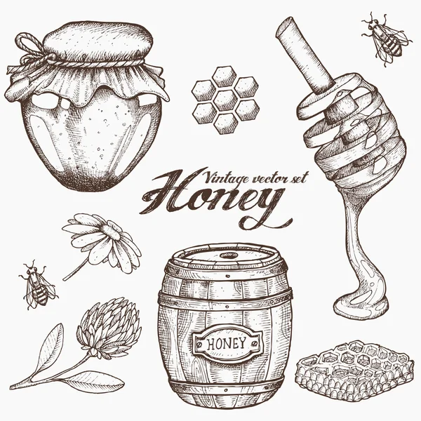 Honey jar, barrel, spoon, bee, honeycomb, chamomile, clover, vintage vector set. Engraved organic food hand drawn sketch illustration. — Stock vektor