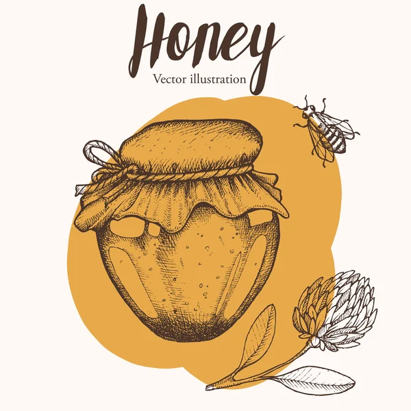 Tarro de miel, barra, abeja, trébol, conjunto de vectores vintage. Dibujo dibujado a mano grabado alimentos orgánicos ilustración . — Vector de stock
