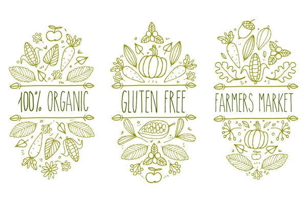 Aliments biologiques, sans gluten, logo du menu du marché fermier. Esquisse vectorielle dessinée à la main élément typographique. Étiquette produit nature. Feuille, maïs, carotte, cacao, cacao, pomme, citrouille, floral, gland . — Image vectorielle