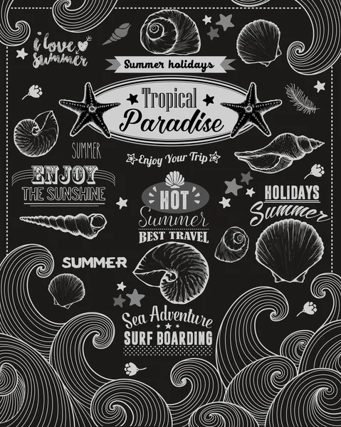 Set van zomer element. Kalligrafisch label, Seashell, bloem. Hand getekende stijl. Typografisch ontwerp voor logo of label. Zomer vakantie. Tropisch paradijs, beste Tour, strandfeest, Bon Voyage, schoolbord — Stockvector