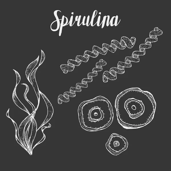 Spirulina superfood biologisch gezond voedingssupplement. Hand getekende schets vector illustratie geïsoleerd op schoolbord achtergrond — Stockvector
