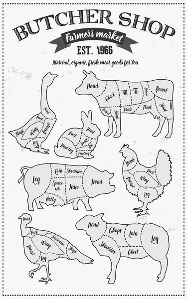 Cutting meat diagram guide cut scheme in vintage style. Chalk illustration graphic element for menu, banner. Steak cow pig chicken rabbit turkey goose duck lamb divided pieces. Silhouettes of animals. — Stock Illustration Cutting meat diagram guide cut scheme in vintage style. Chalk illustration graphic element for menu, banner. Steak cow pig chicken rabbit turkey goose duck lamb divided pieces. Silhouettes of animals. Vector Graphics