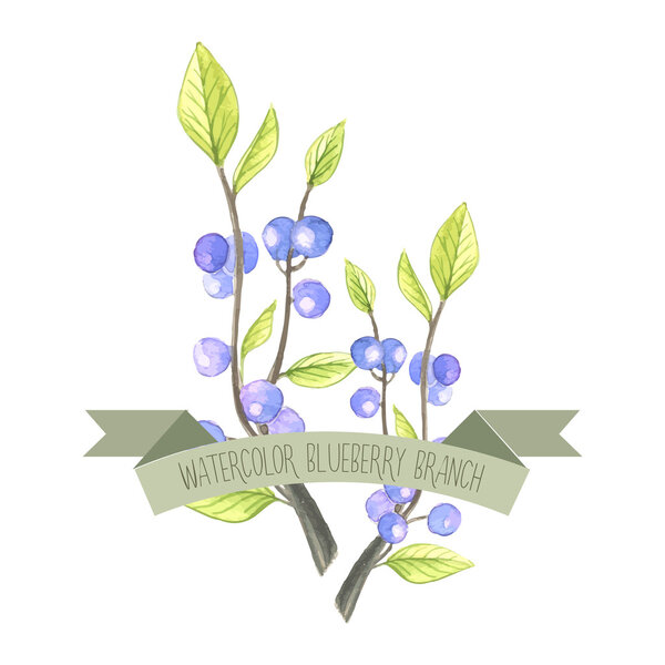 Berry branch watercolor vector handpainted set