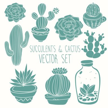 Succulents ve kaktüs vektör handpainted set
