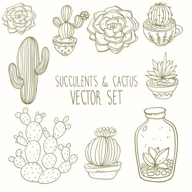 Succulents ve kaktüs vektör handpainted set