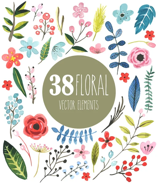 38 elementos floral vetor aquarela — Vetor de Stock