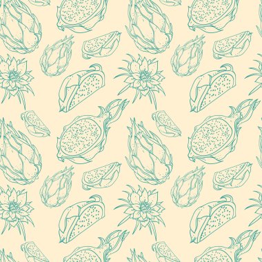 Pitaya vektör organik meyve ® seamless modeli