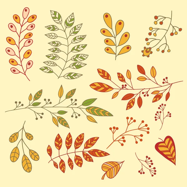 Conjunto floral vectorial. Colección floral colorida. Diseño para invitaciones, bodas o tarjetas de felicitación. Conjunto de hojas de otoño . — Vector de stock