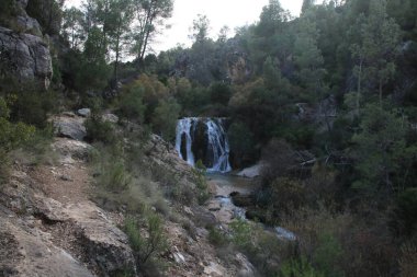 Ormanda küçük bir şelale