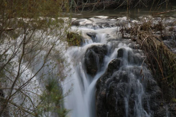 Piccola Cascata Nella Foresta — Foto Stock