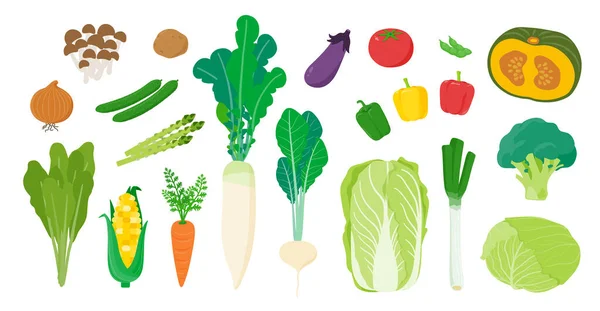 Many Vegetables Vector Art Easy Edit — Stock Vector