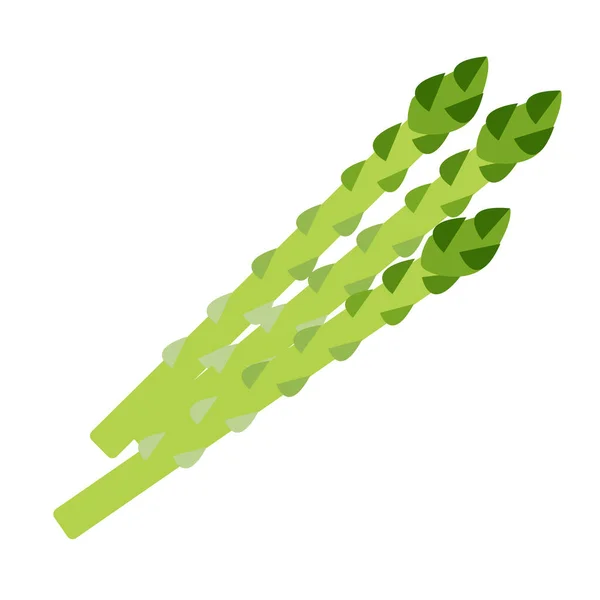 Asparagus Vector Иллюстрации Которые Легко Редактировать — стоковый вектор