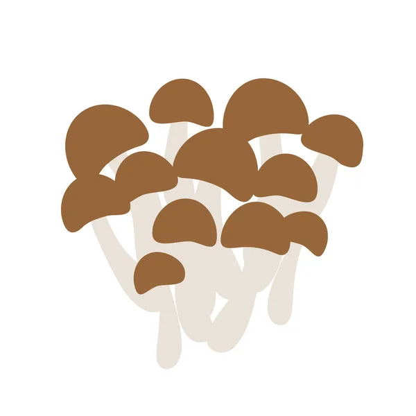 Shimeji Mushroom Illustration Vectorielle Facile Modifier — Image vectorielle