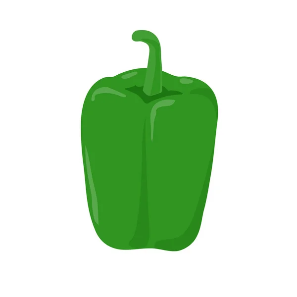 Green Pepper Vector Illustration Easy Edit — Stock Vector