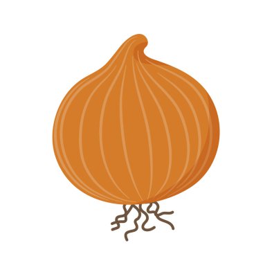 Soğan. Düzenlemesi kolay vektör illüstrasyonu.
