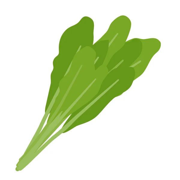 Spinach Vector Ilustrasi Yang Mudah Untuk Mengedit - Stok Vektor