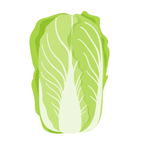 Cabbage Vector Chinês Ilustração Que Fácil Editar —  Vetores de Stock