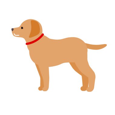 Golden Retriever. Düzenlemesi kolay vektör illüstrasyonu.