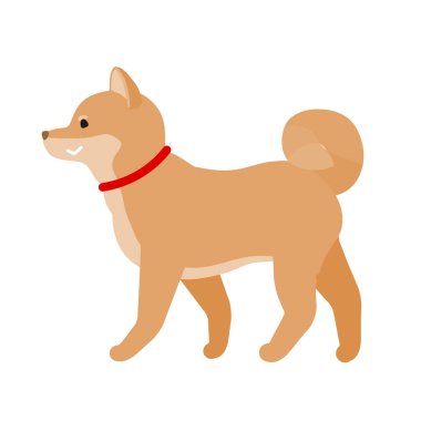 Shiba Inu.Vektör illüstrasyonunu düzenlemek kolaydır.