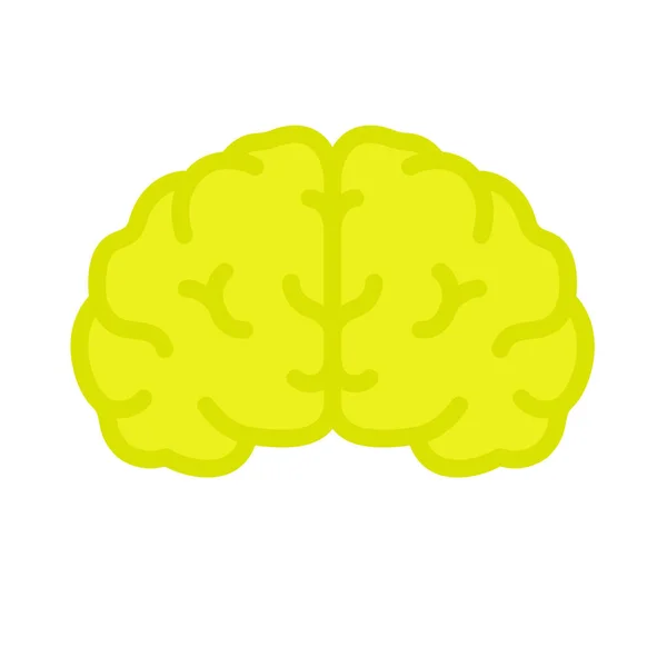 Brain Front Vector Illustration Easy Edit — Stock Vector