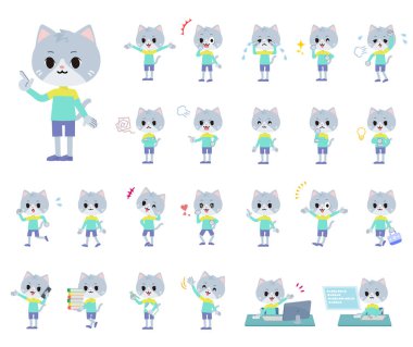 Değişik duygular ifade eden bir Cat Boy seti. Yönlendirmesi çok kolay..