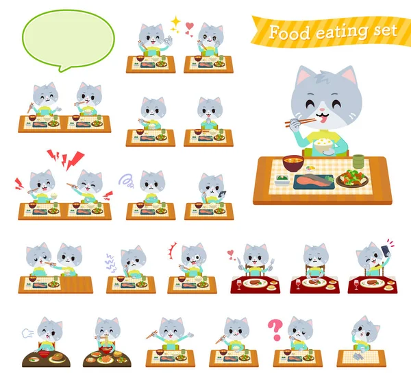 Set Cat Boy Meals Vector Art Easy Edit — Stock Vector