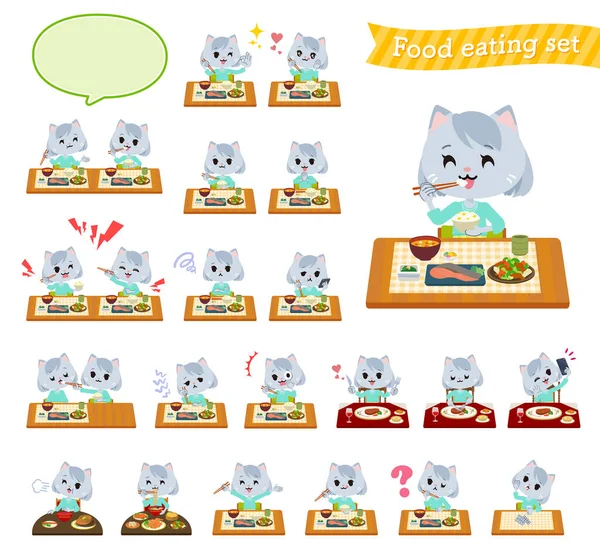 Set Cat Girl Meals Vector Art Easy Edit — Stock Vector