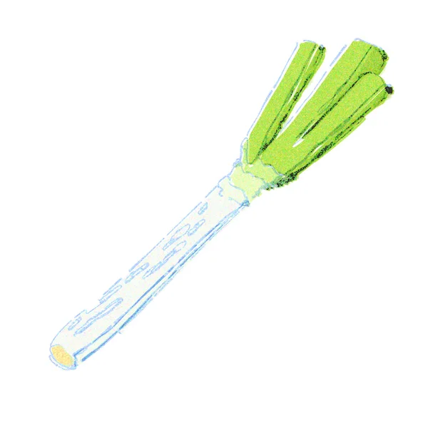 Leek Watercolor Touch — Stock Photo, Image