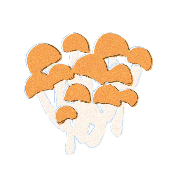 Shimeji Mushroom Είναι Ένα Άγγιγμα Ακουαρέλα — Φωτογραφία Αρχείου