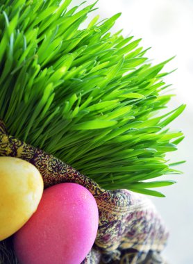 Novruz