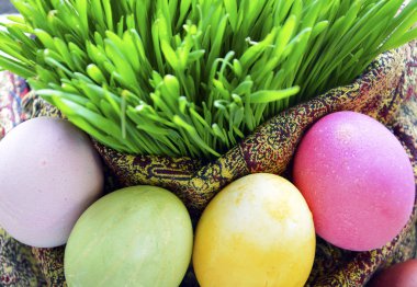 Novruz