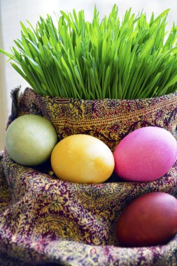 Novruz