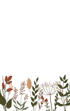 Backgraund for stories with floral elements. Botanical collection. Set of field flowers, herbs. Flowers, leaves, branches and other natural elements.